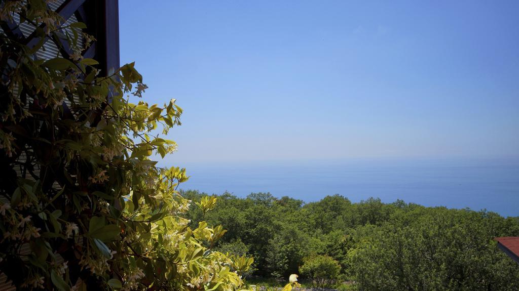 Apartmani Zona Sveti Stefan Dış mekan fotoğraf